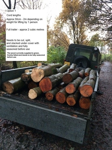 Firewood logs forest school - firewood,, logs,
