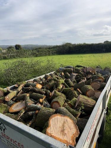 Logs and wood - logs,