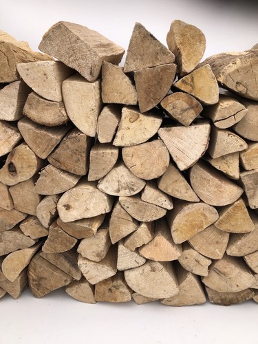 Kiln dried hardwood - dried, logs