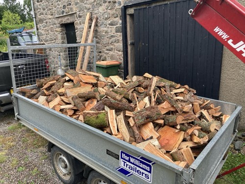 Firewood logs fuel - logs,