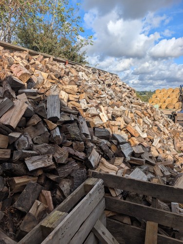 Seasoned mixed wood firewood - wood,