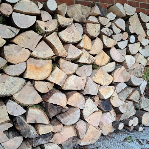 Firewood pure welsh ash - pure,