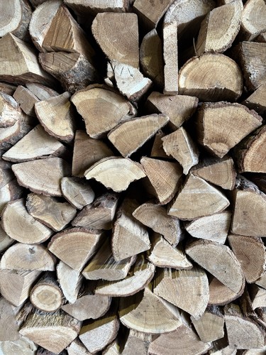 Premium kiln dried oak logs - dried,