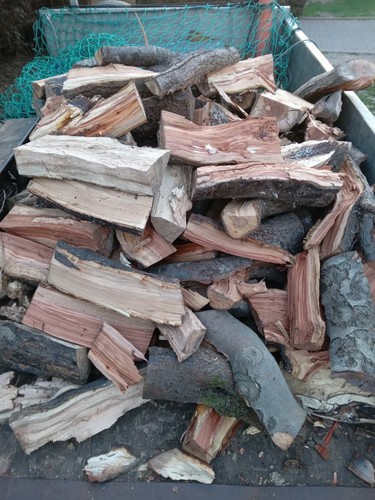 Well seasoned logs fire - seasoned,