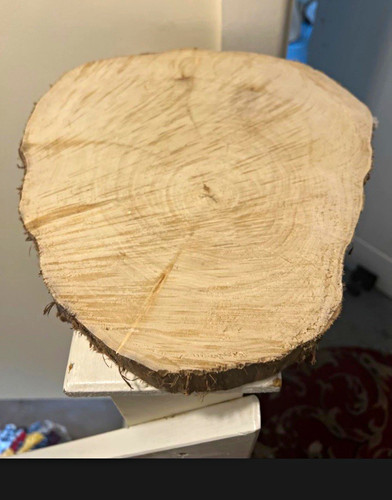 Wood firewood log slice - log, round