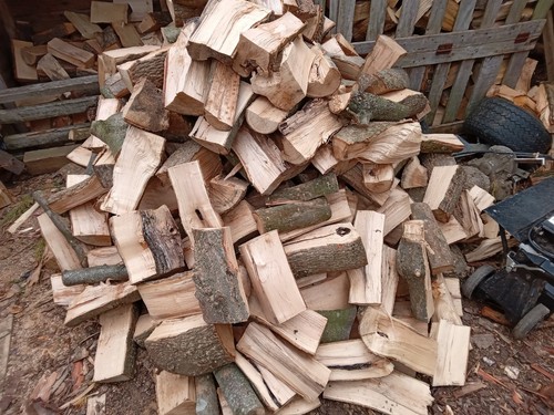 Unseasoned hardwood logs free - unseasoned,