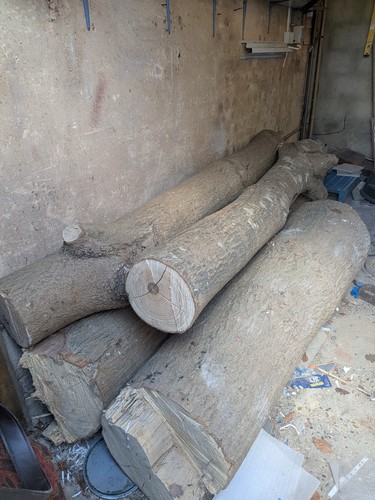 Ash tree wood logs - wood,