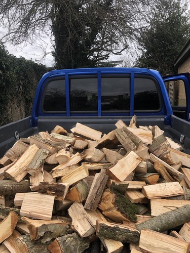 Logs for sale - for,