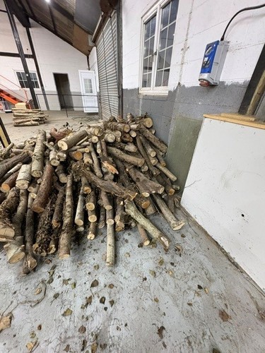 Large pile mix firewood - of,