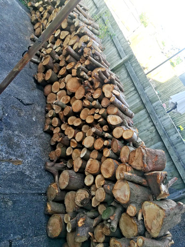 Soft wood tree logs for - soft,