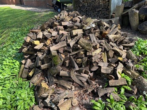 Ash firewood split logs - ,