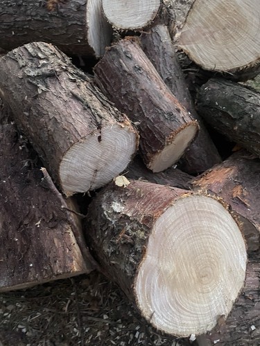 Ton bag logs - ton,