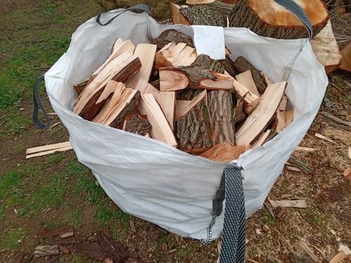 Unseasoned logs fire wood - logs,